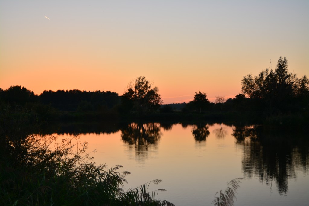 Întoarcerea (la rădăcini)😉