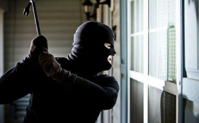 „Hoțul și papagalul”