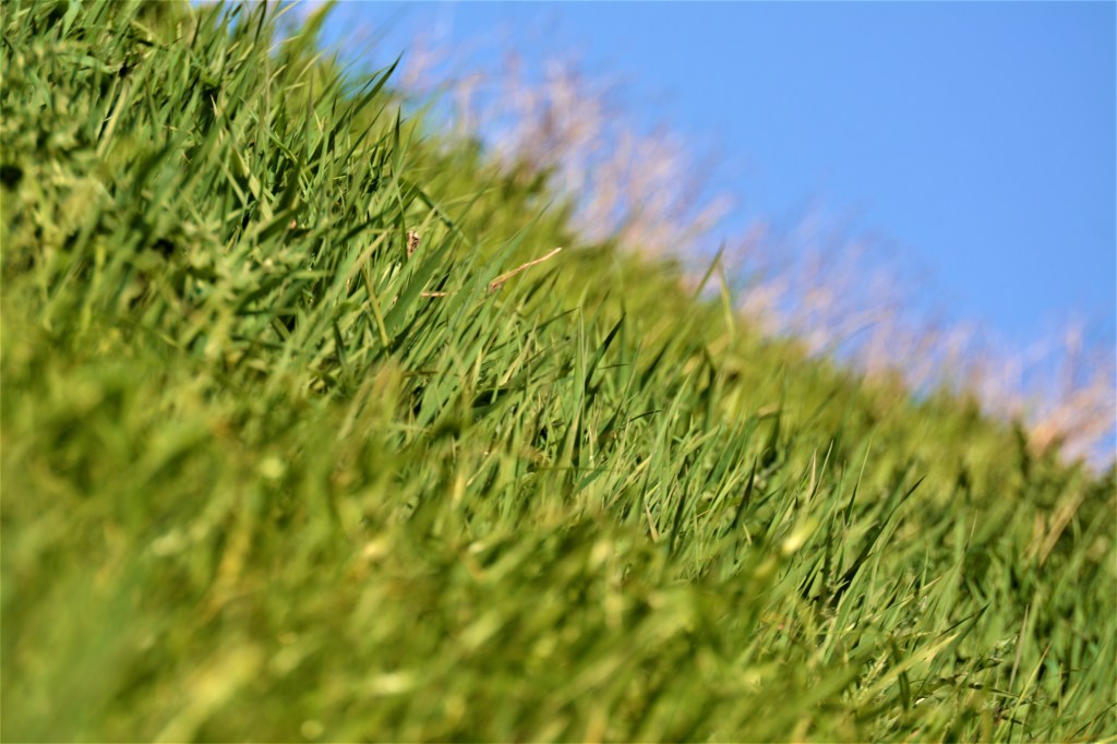 Hai-hui (sau brambura pe&nbsp;coclauri)