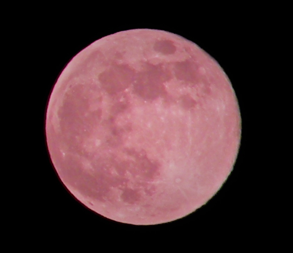 Luna roz