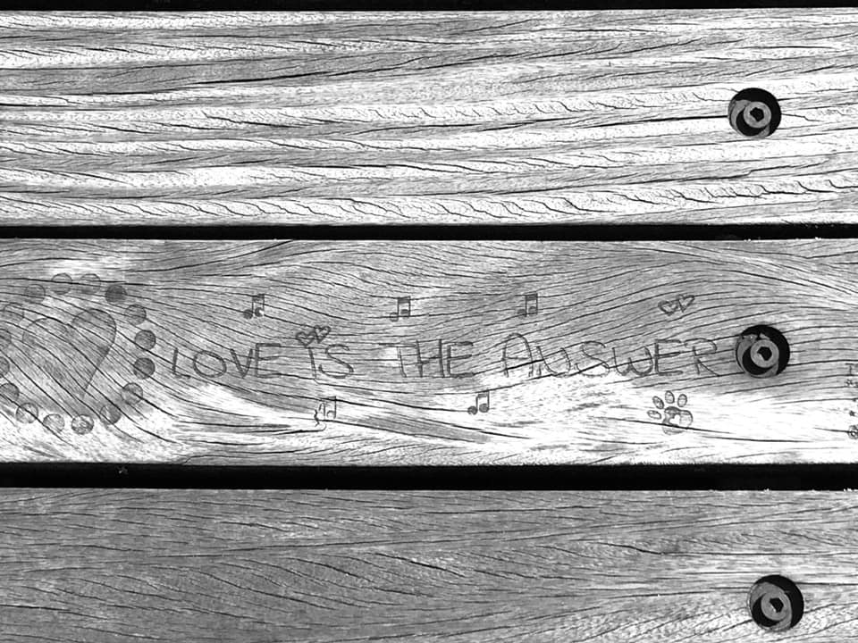 64325659_643088109501555_3761353575528136704_n