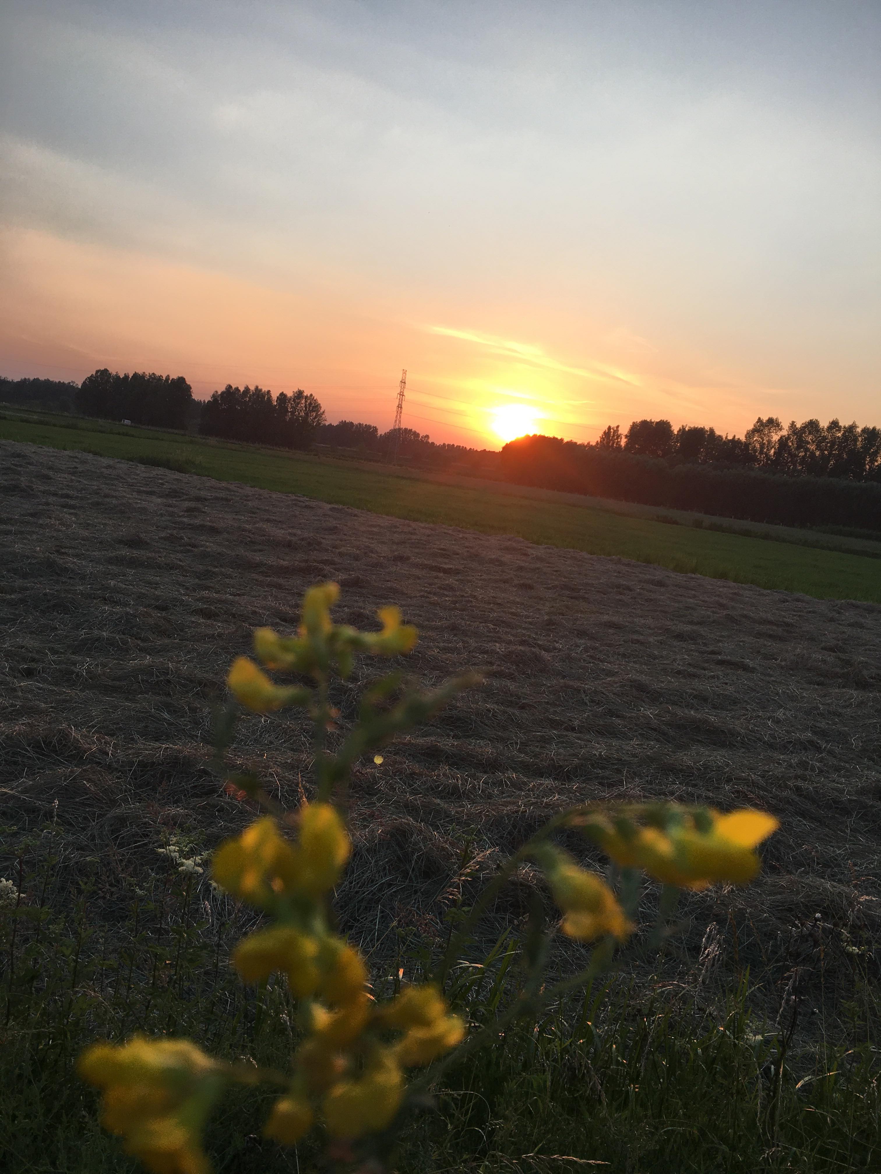 64918474_344978719510934_125618602177986560_n