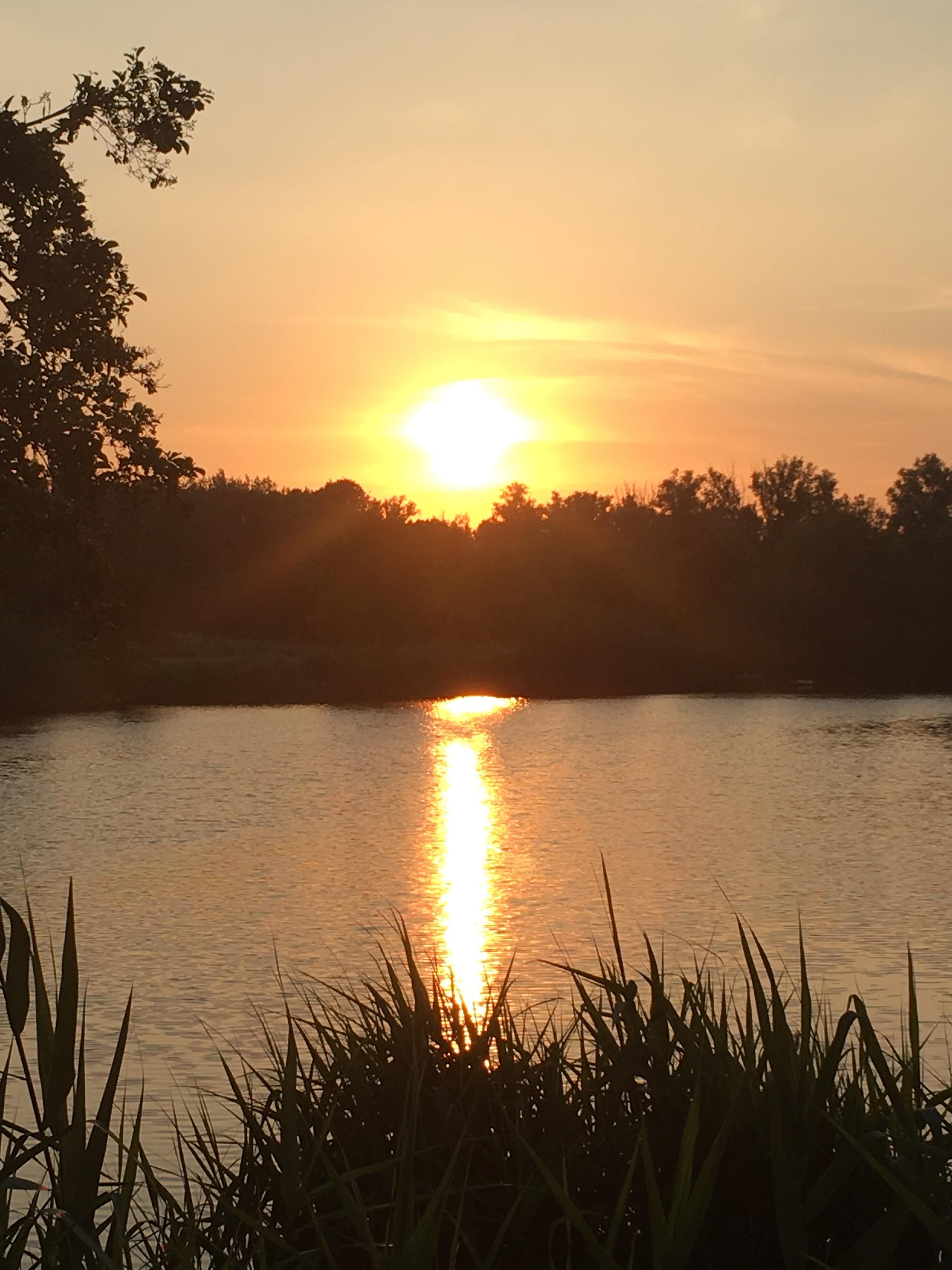 65089751_641521599650057_5793543885938491392_n