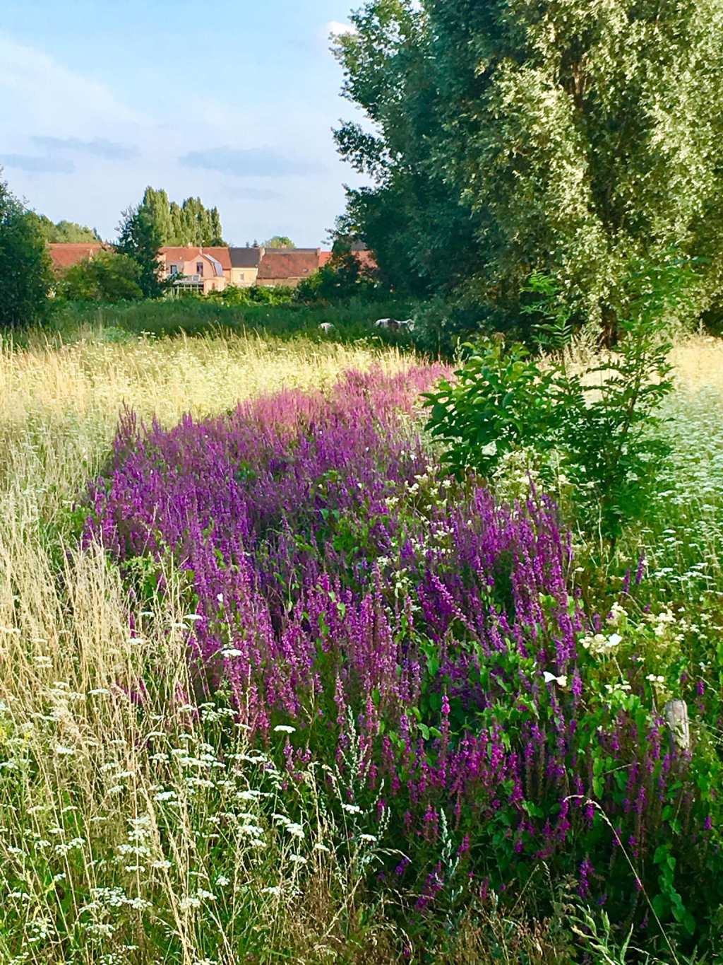 Mulțumesc. Iartă-mă. Te&nbsp;iubesc.