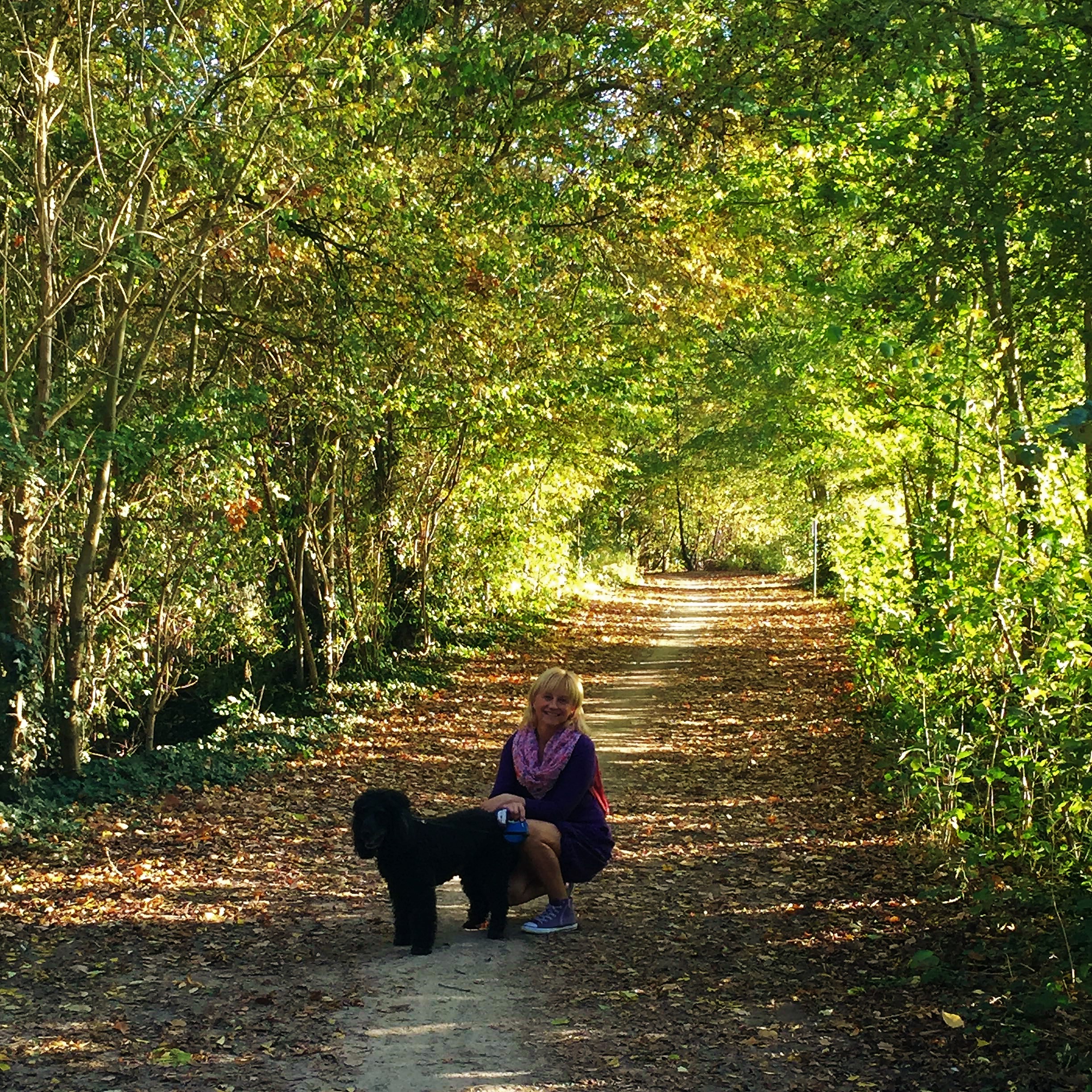 44424281_567226417062132_709644776164556800_n