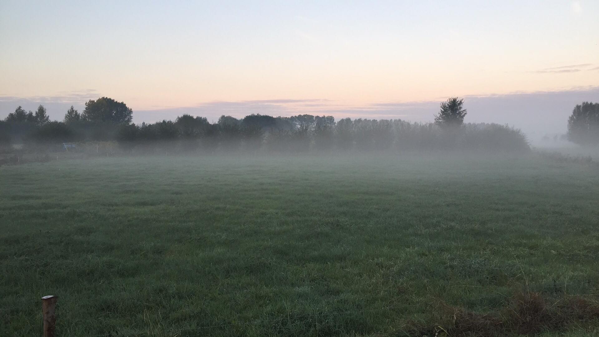 44513756_334627247299440_7564642271136579584_n