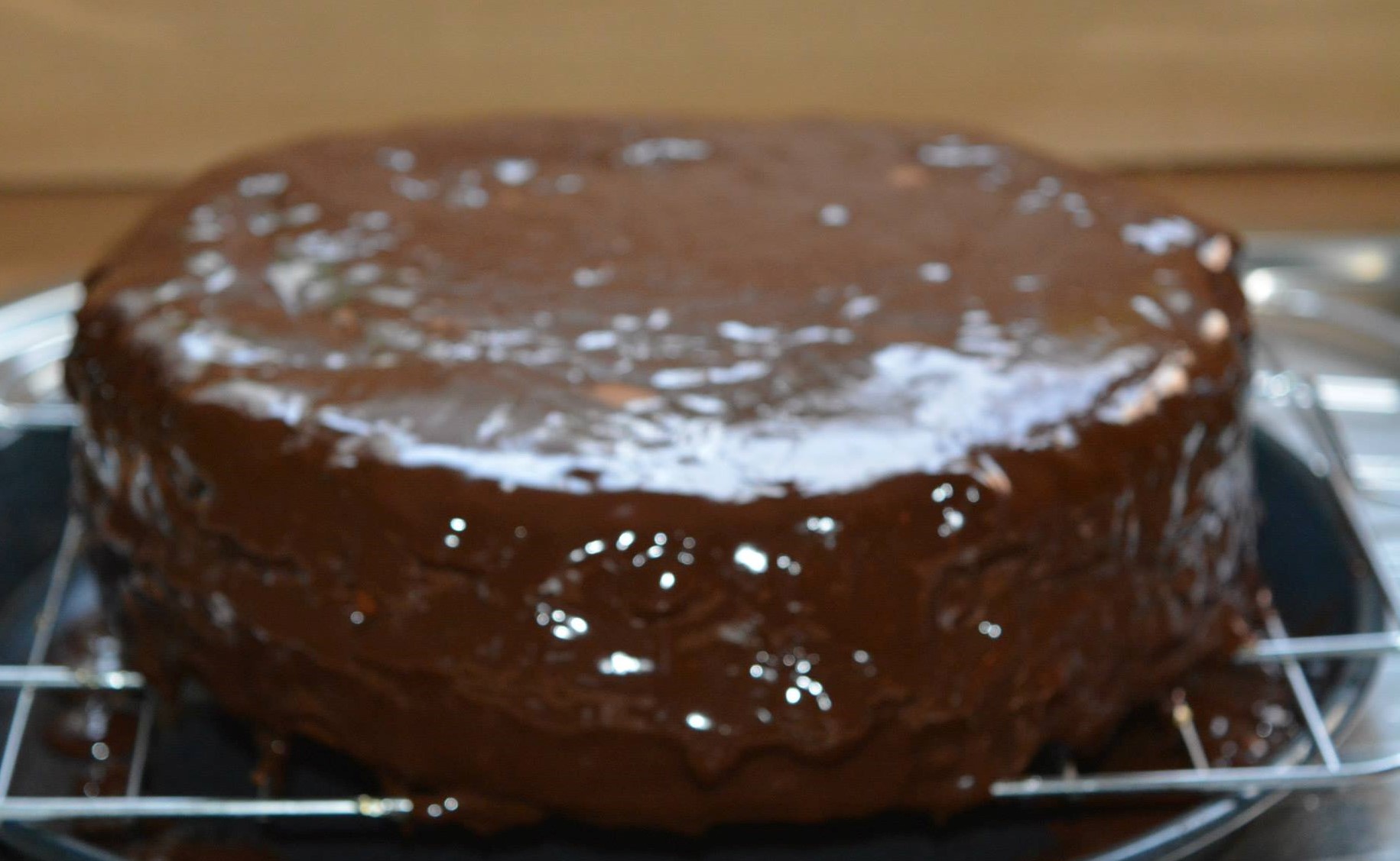 11194620_843898205658614_8856163975745017038_o (1)