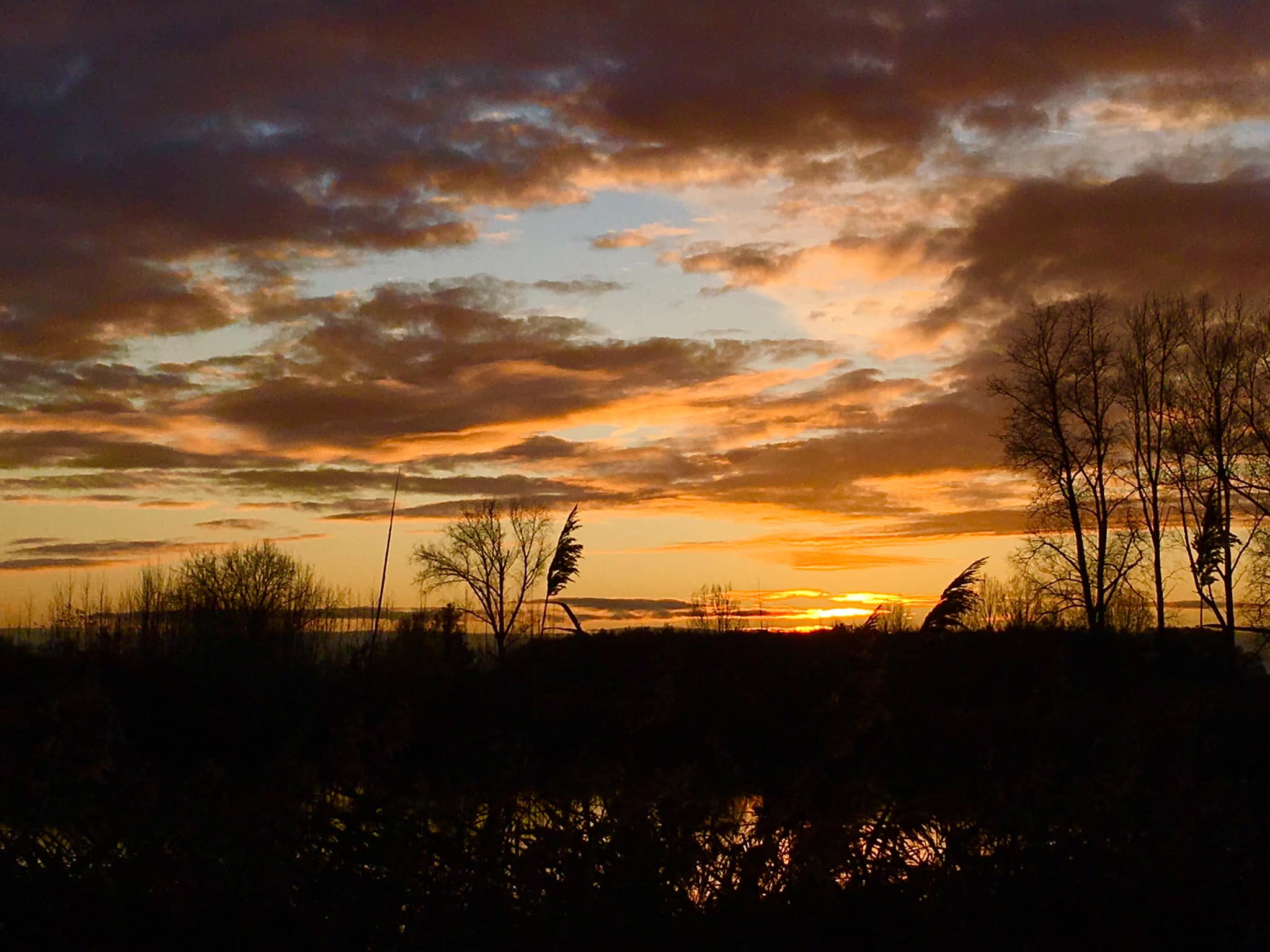 74592458_757813824695649_2416833566961827840_o