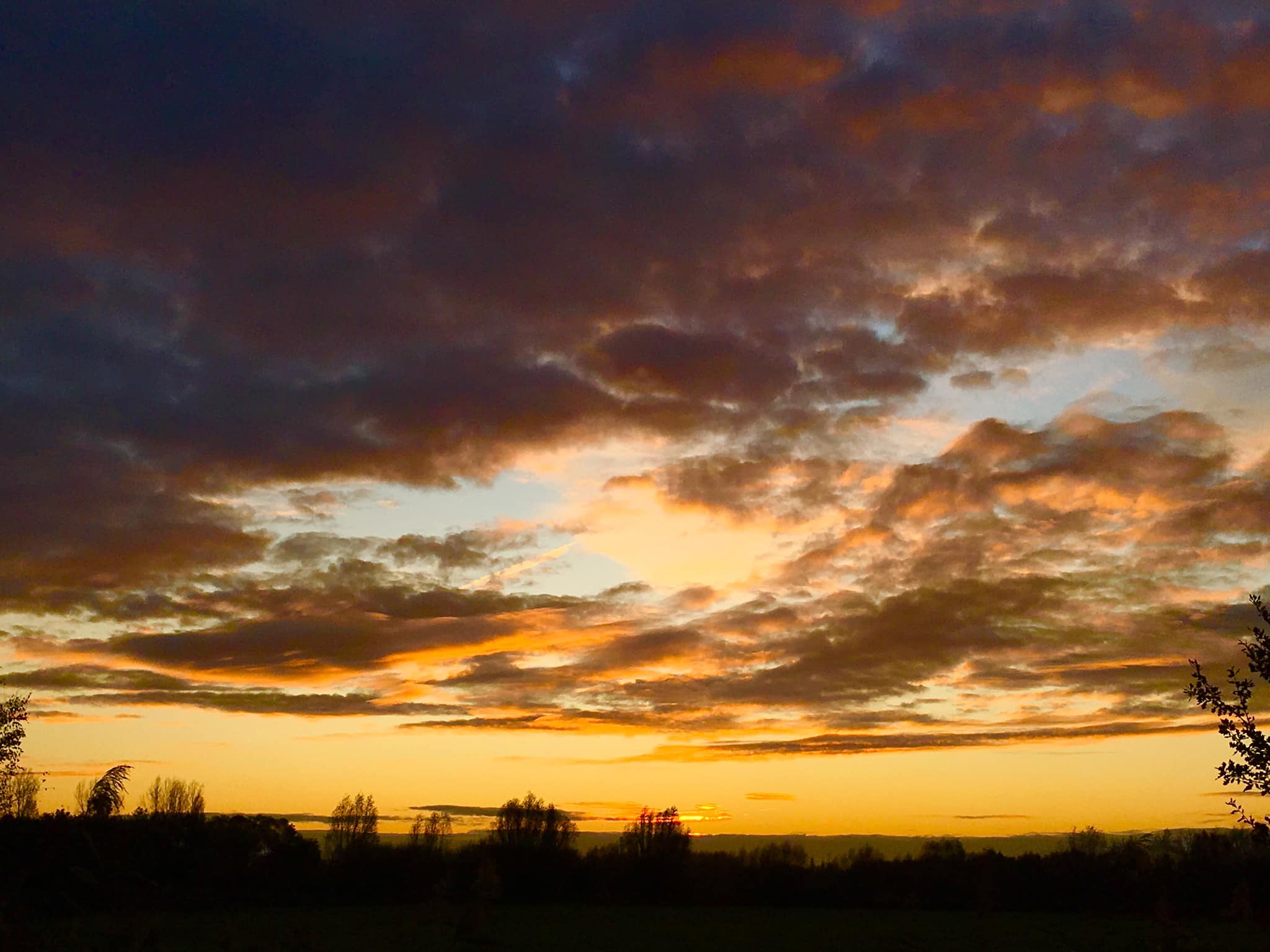 77349651_757813861362312_6432023081232891904_o