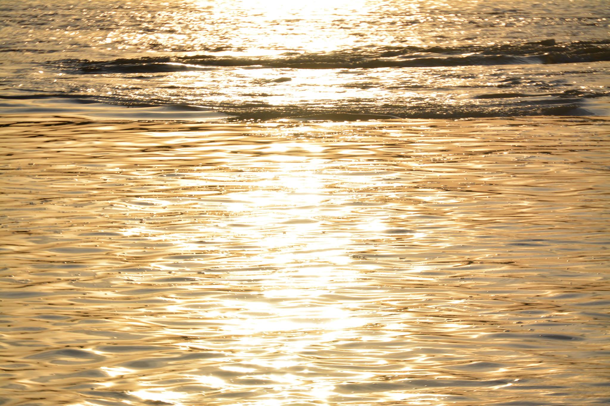 13568896_1056770744371358_8529293419156813398_o