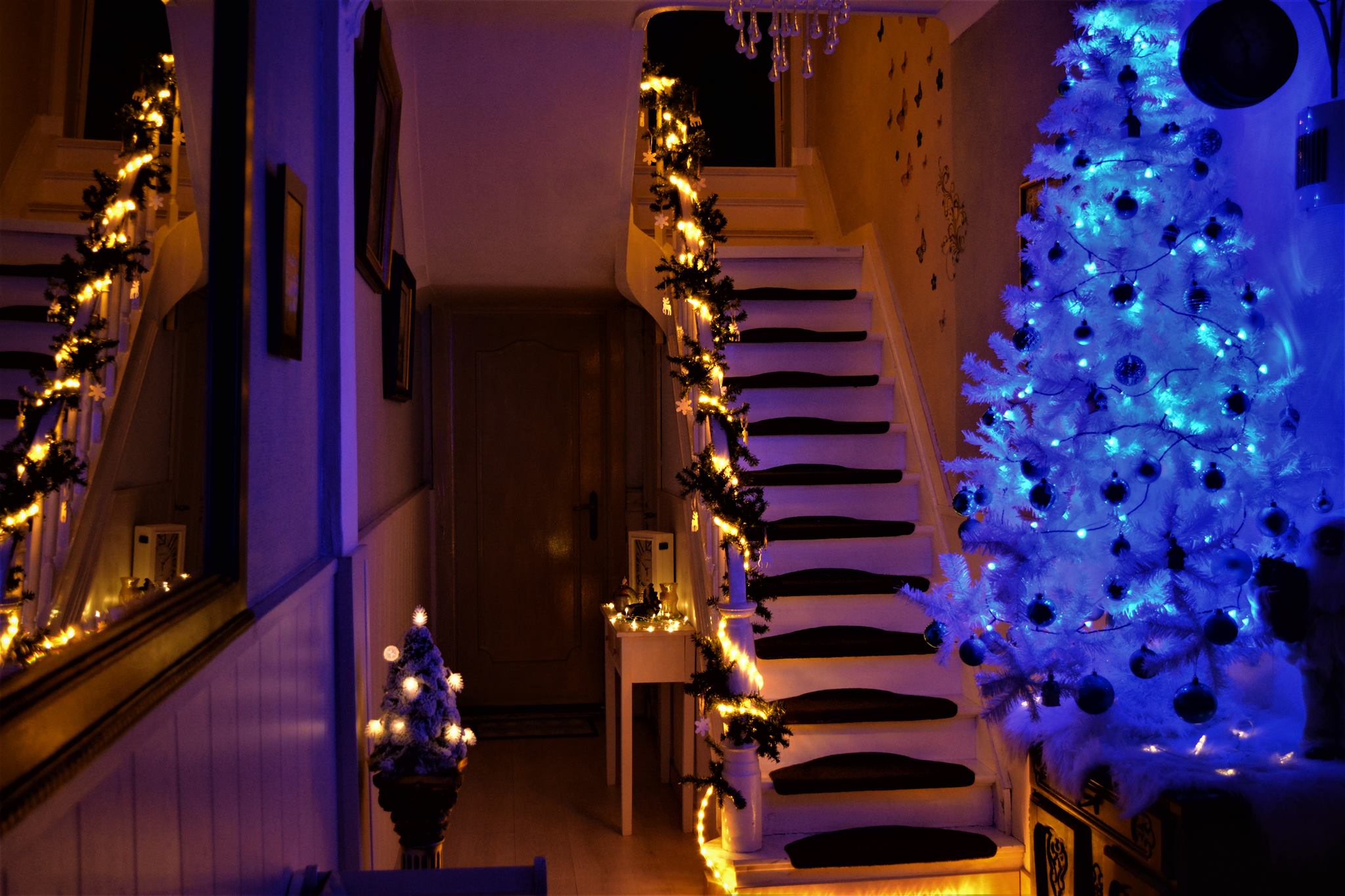 47680994_1958294850885605_5219210585555599360_o (1)