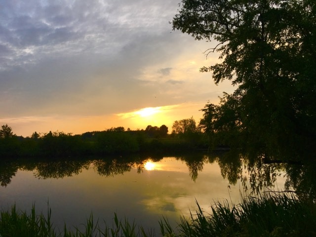 96517154_692566041554595_5577030427018788864_n