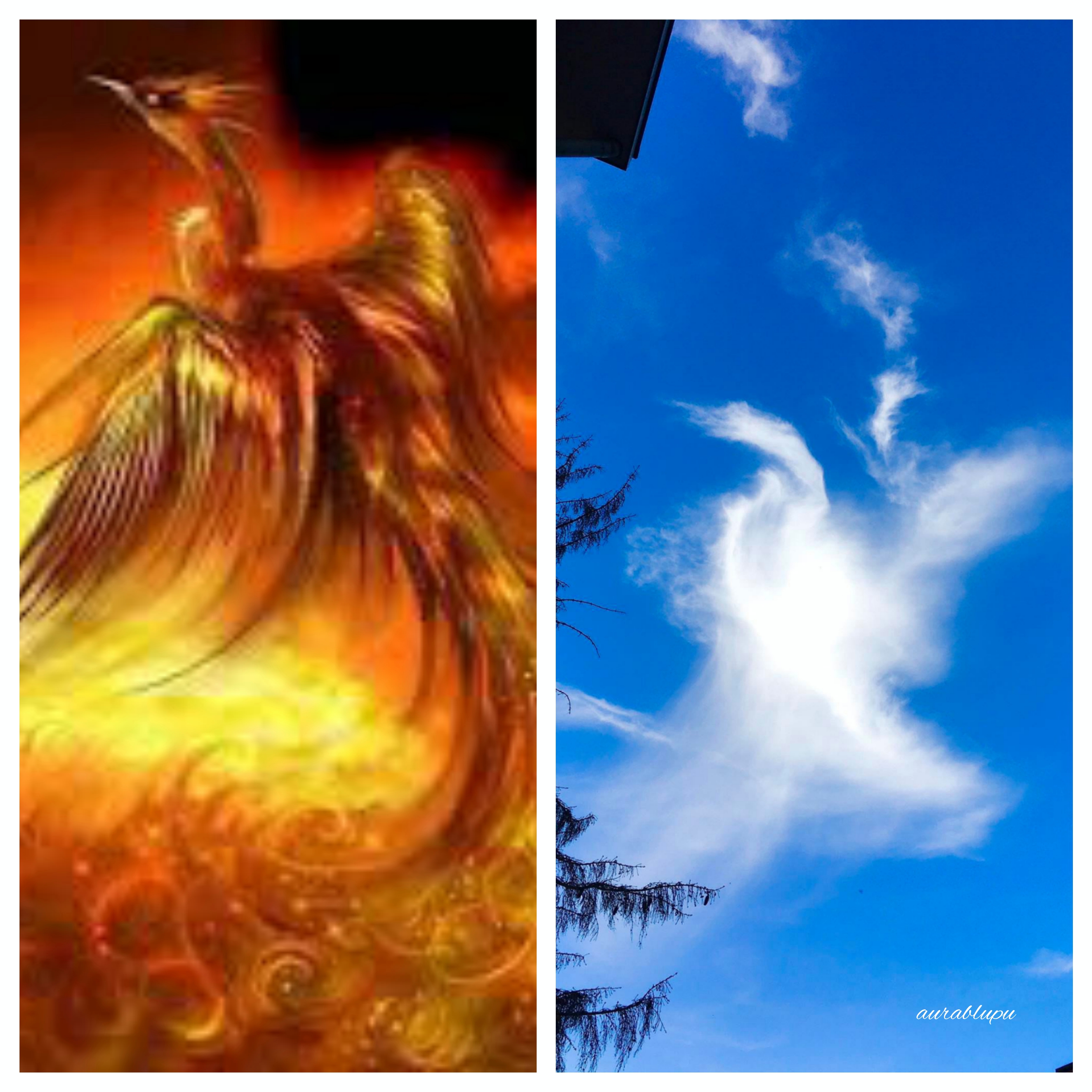 98279737_1126338737750387_3955245772412289024_n_Fotor_Collage_Fotor