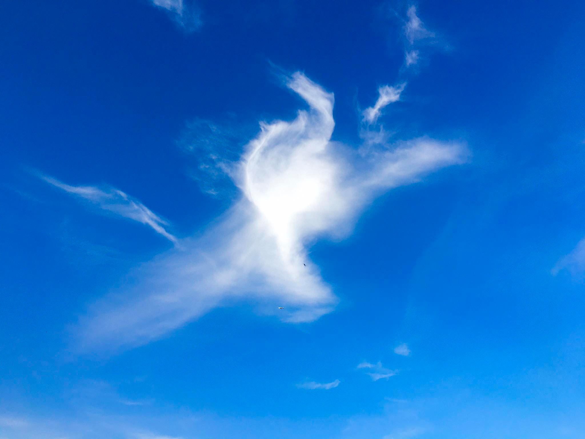 98594321_242548910510233_4993979773249126400_n