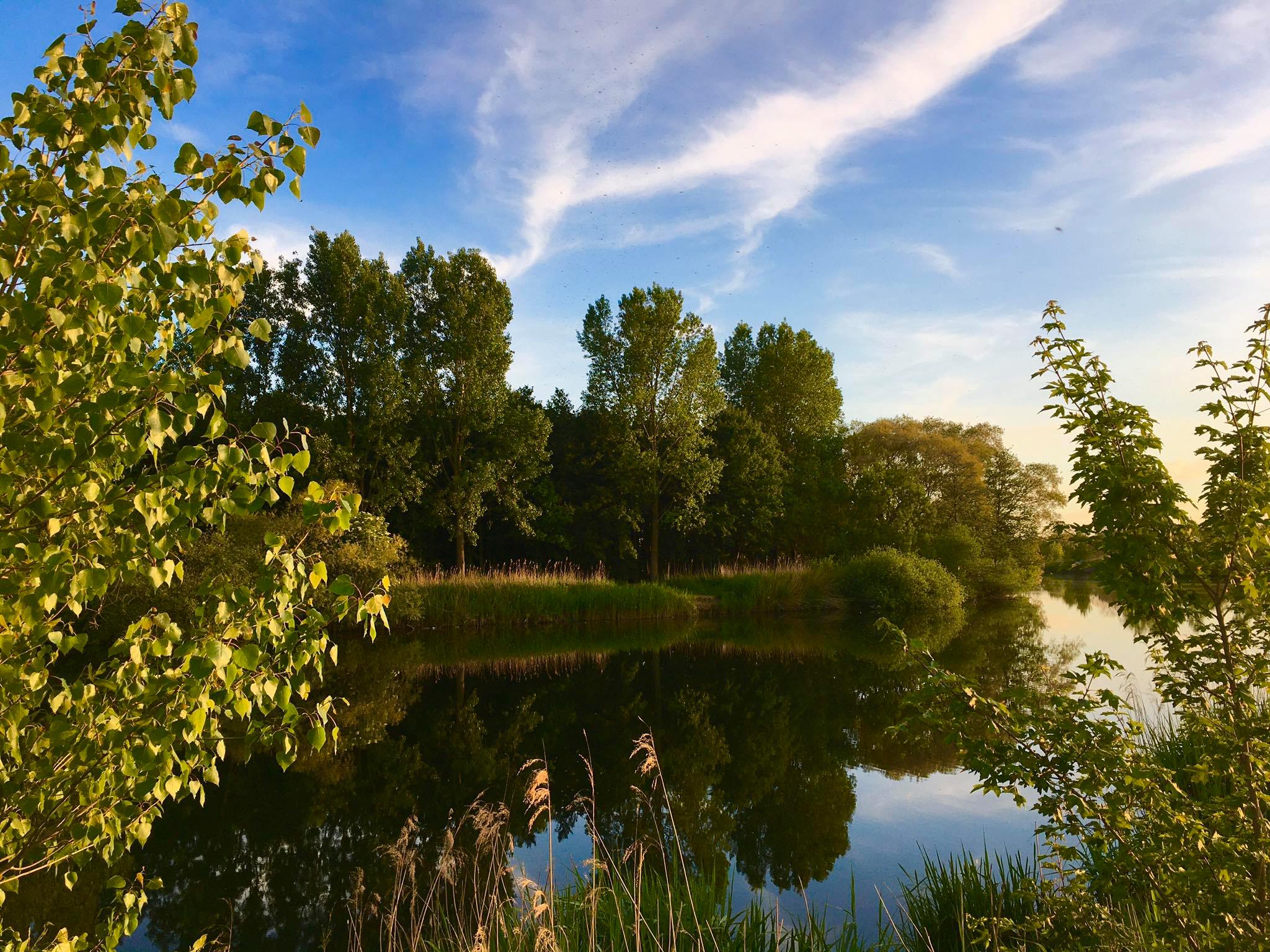 98887948_1188507544814674_321483206958252032_n