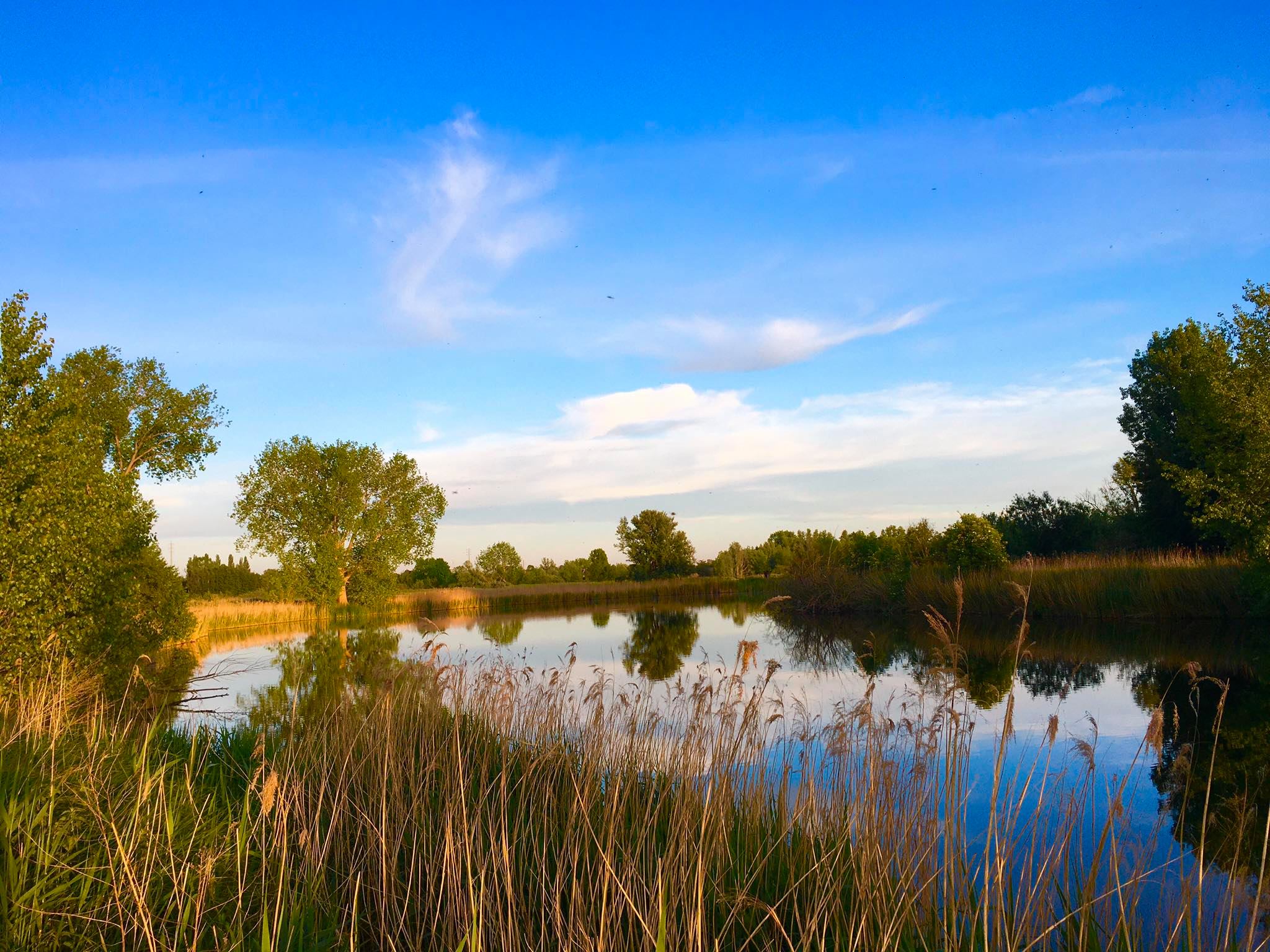 98944809_900753853671927_727043259183923200_n