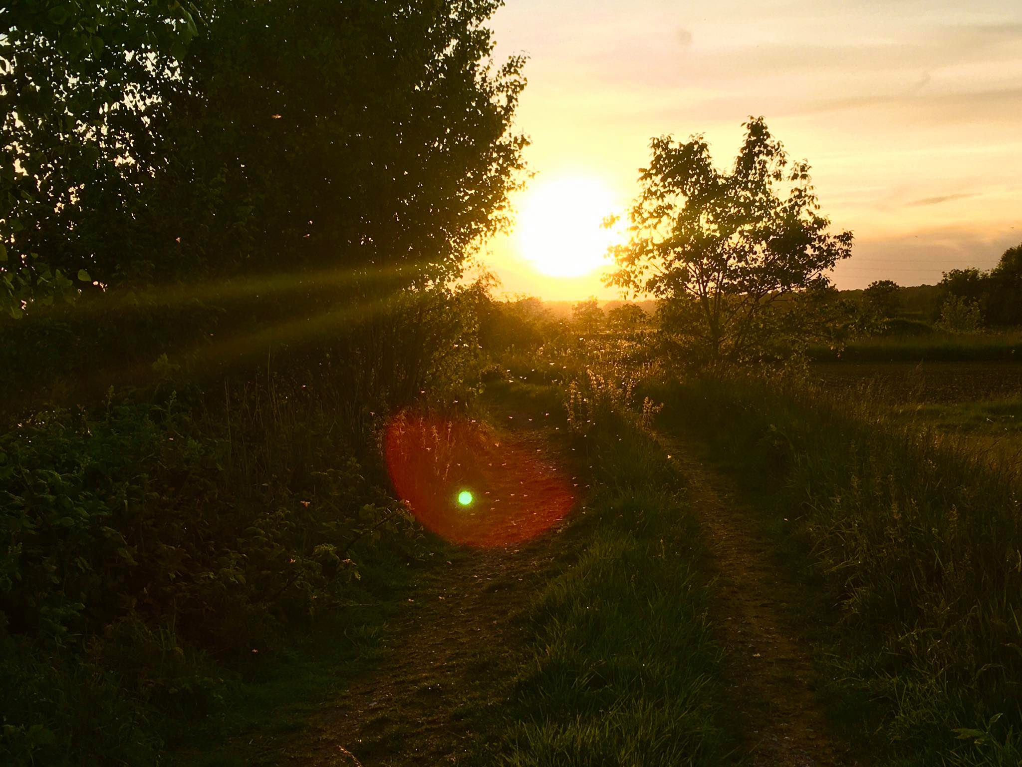 99242790_529796334359708_2009583462285049856_n