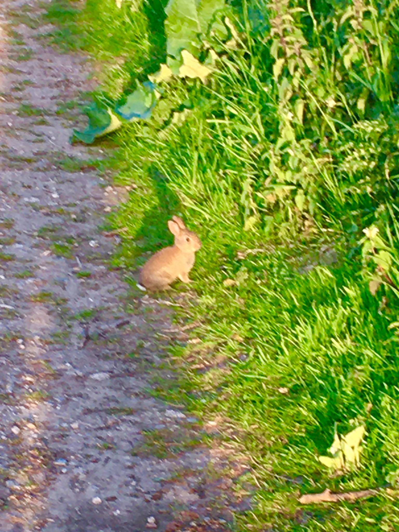 99242790_863482770808391_8689438337024393216_n