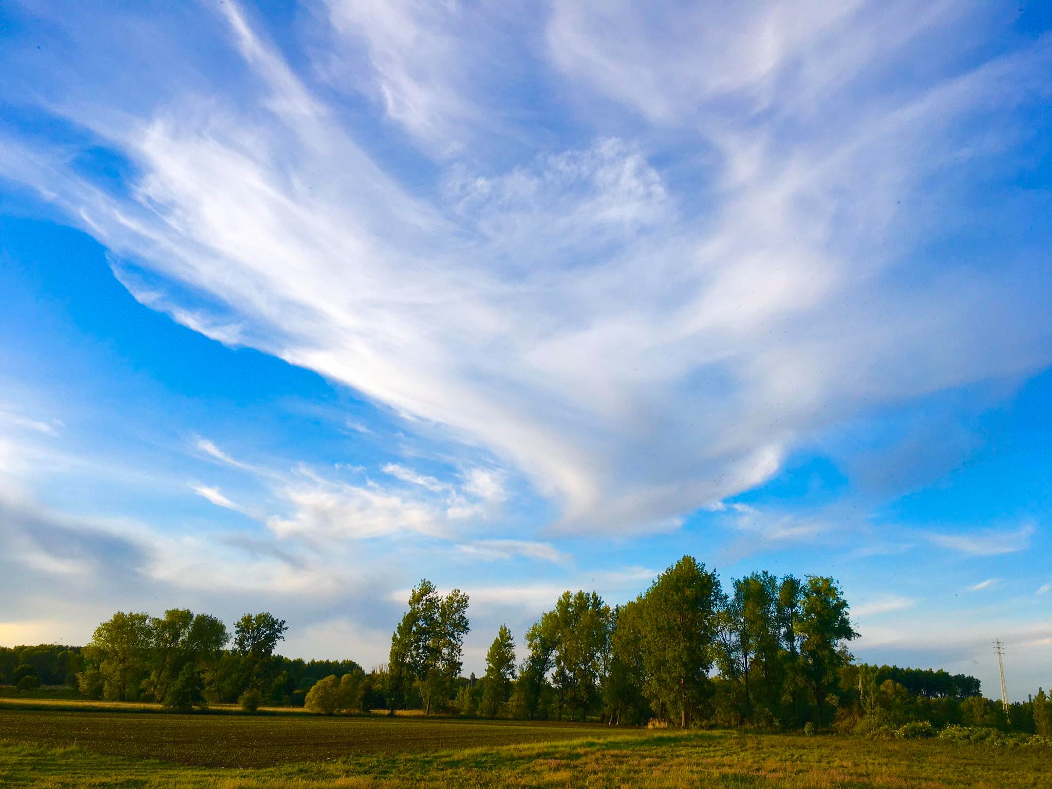 99294709_2796257730480164_3747827636886306816_n