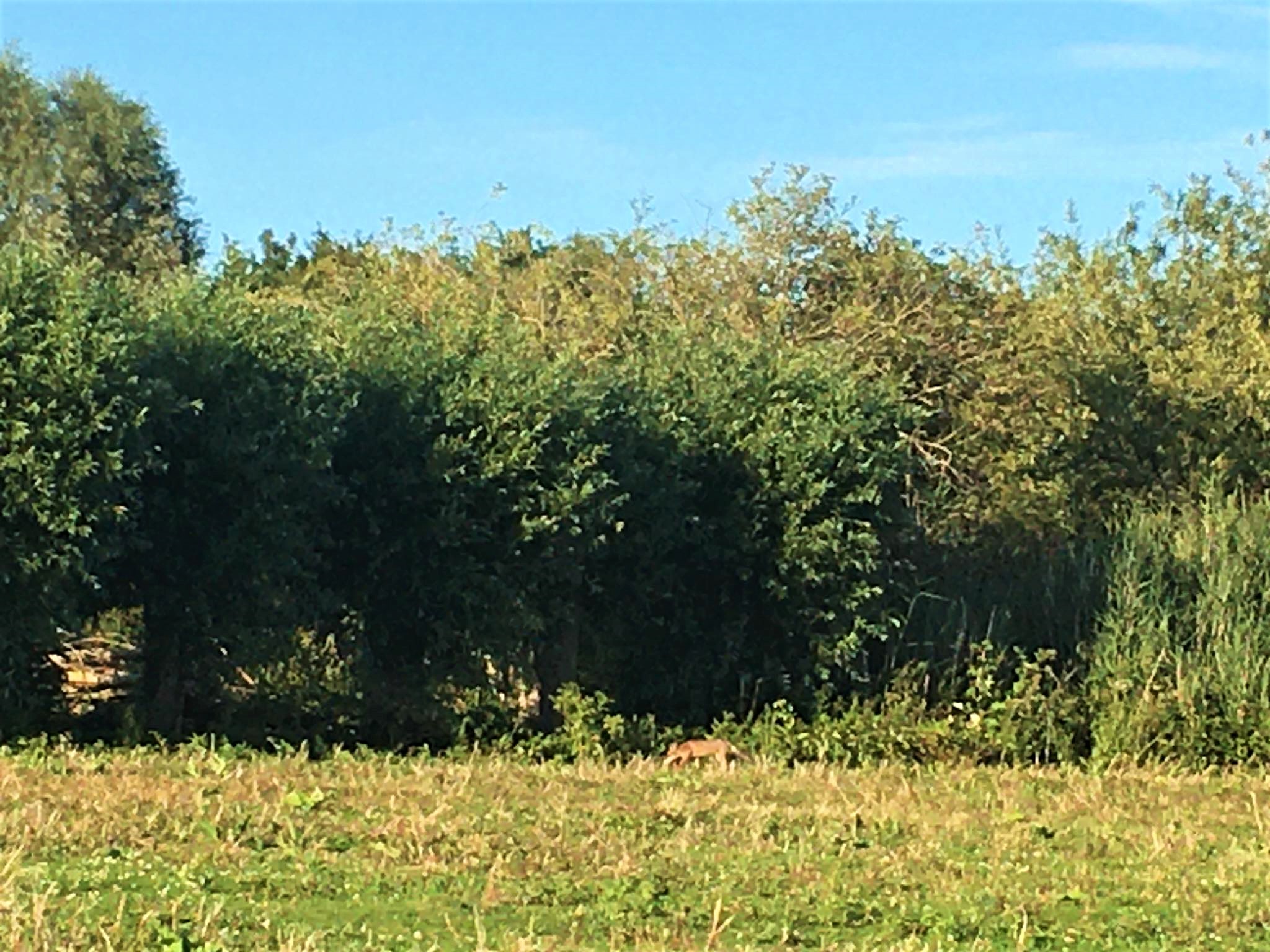 107959498_312357293272766_2433992701091622990_n