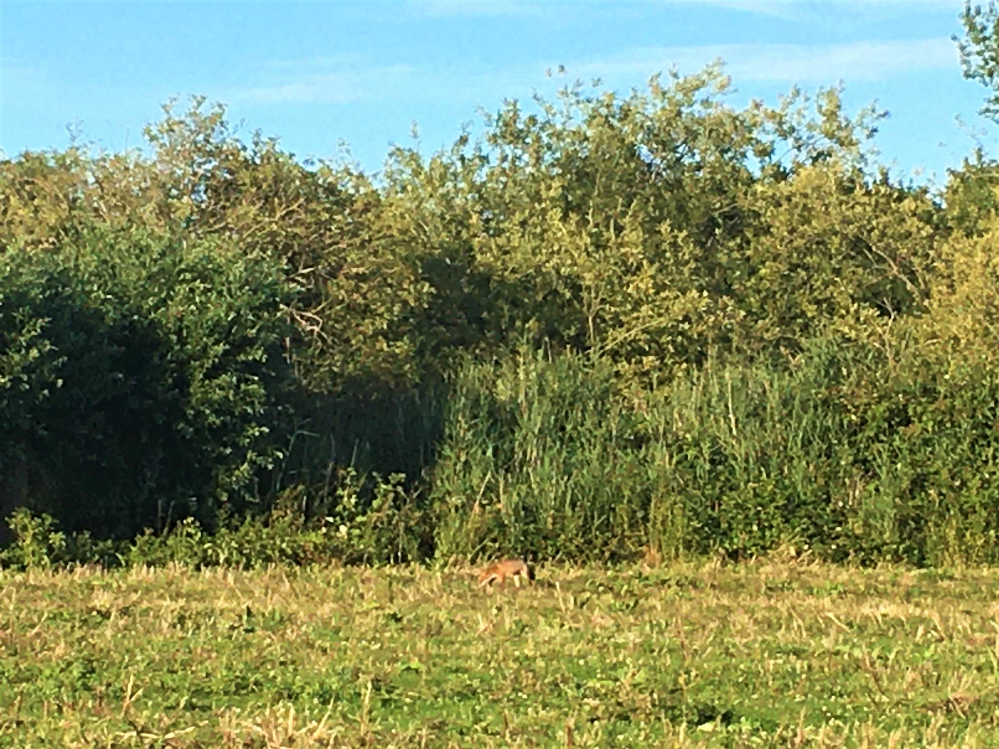 108052770_593372531617848_7157066004995196392_n