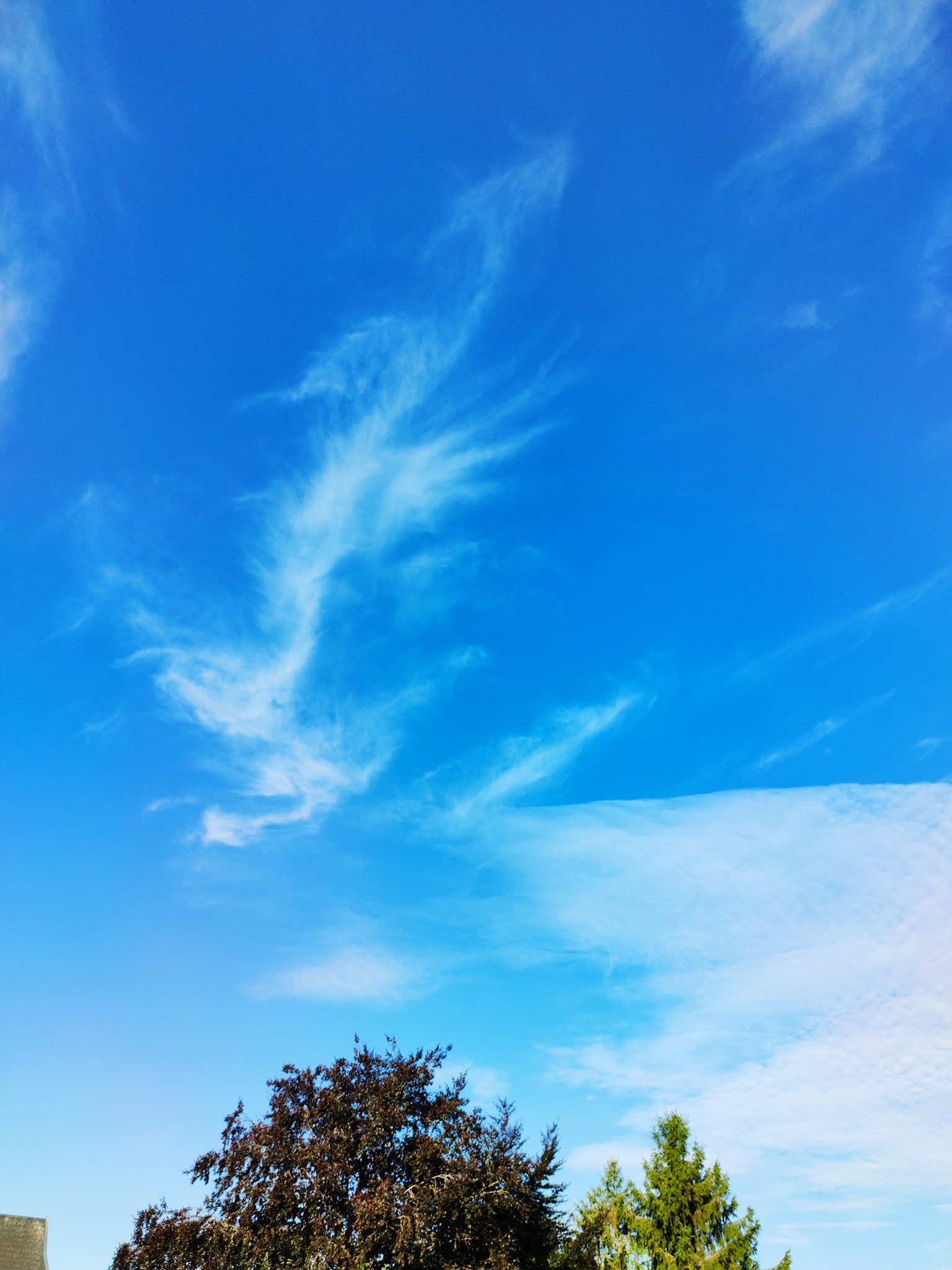 117978280_955367668273596_3367441427925629446_o