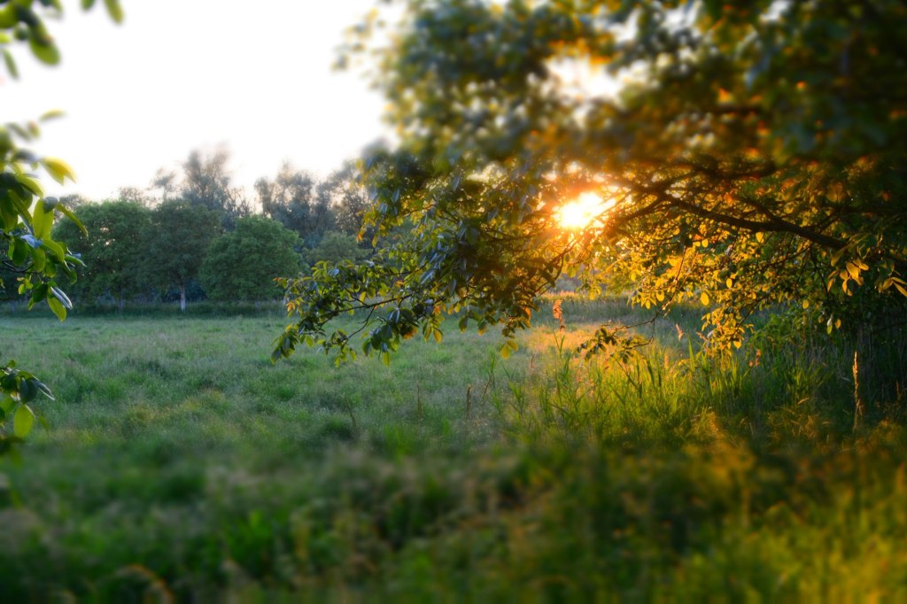 Echinocțiul de toamnă