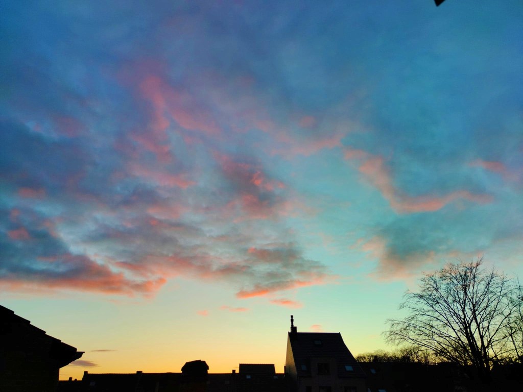 Scuze și explicații