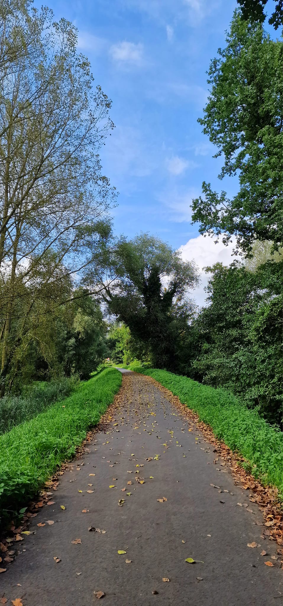 Ce vreți de la&nbsp;mine?