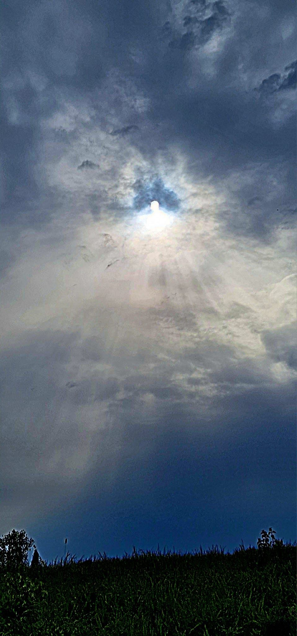 Sub Acoperământul Maicii&nbsp;Domnului